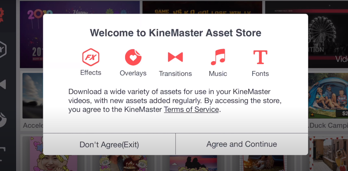 Kinemaster Asset Store